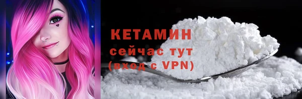 прущие грибы Бородино
