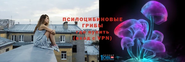 прущие грибы Бородино