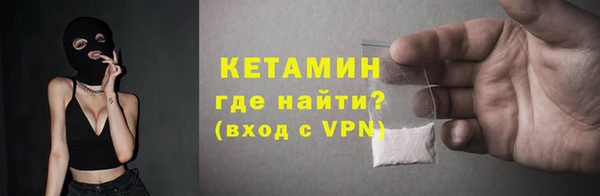 прущие грибы Бородино