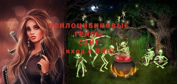 марки nbome Богородицк