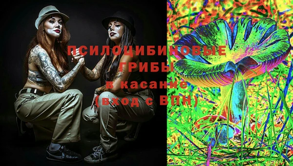 гашиш Богданович