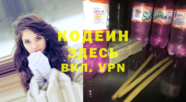прущие грибы Бородино